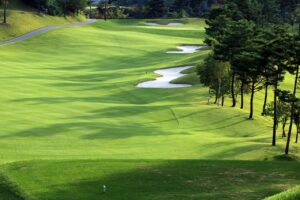 golf, green, field